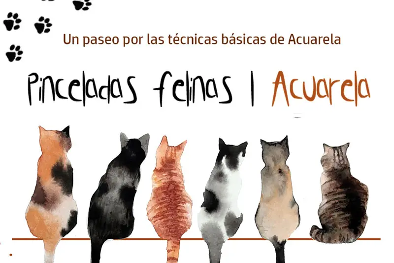 Ilustración de seis gatos pintados con la técnica de mojado sobre mojado para el curso de acuarela online Pinceladas Felinas.