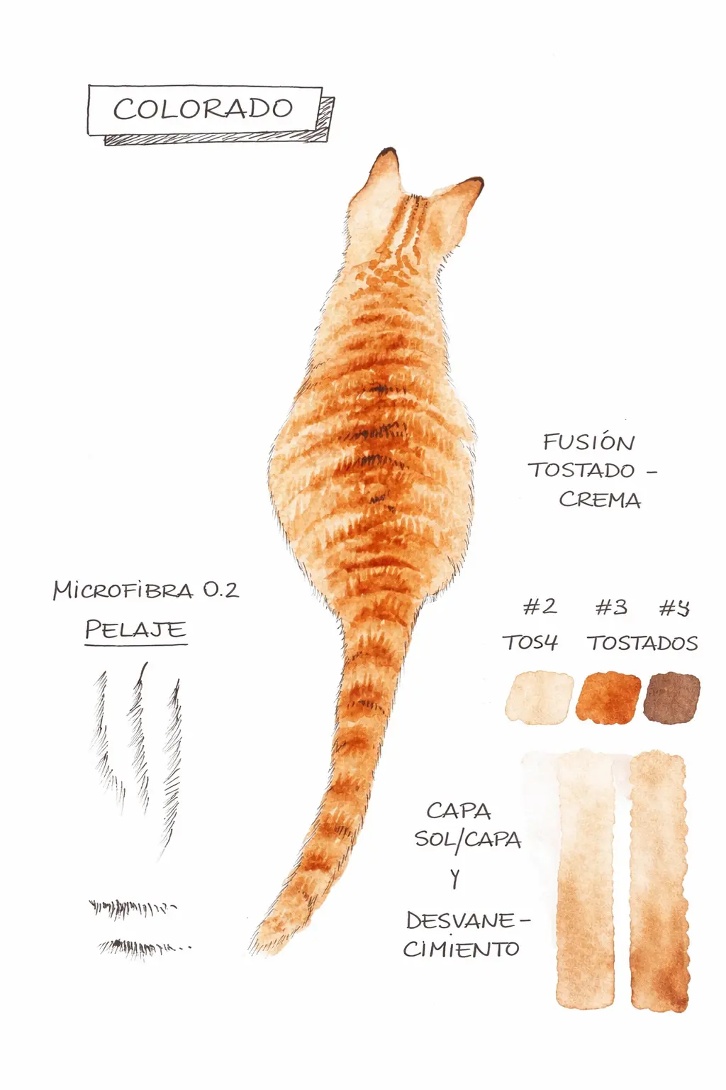 Gato naranja