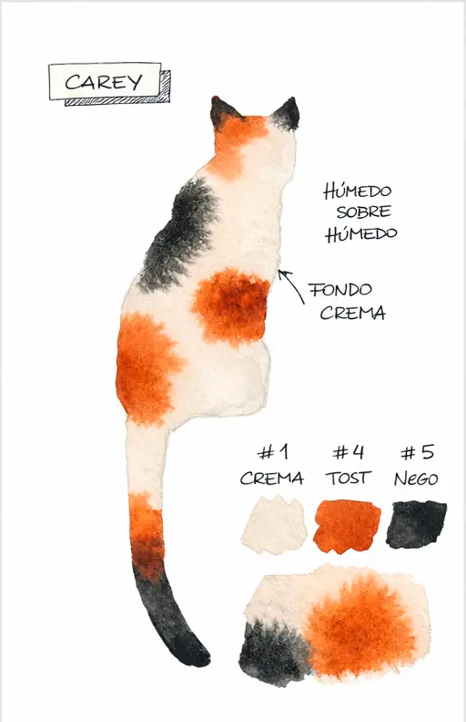 Gato carey
