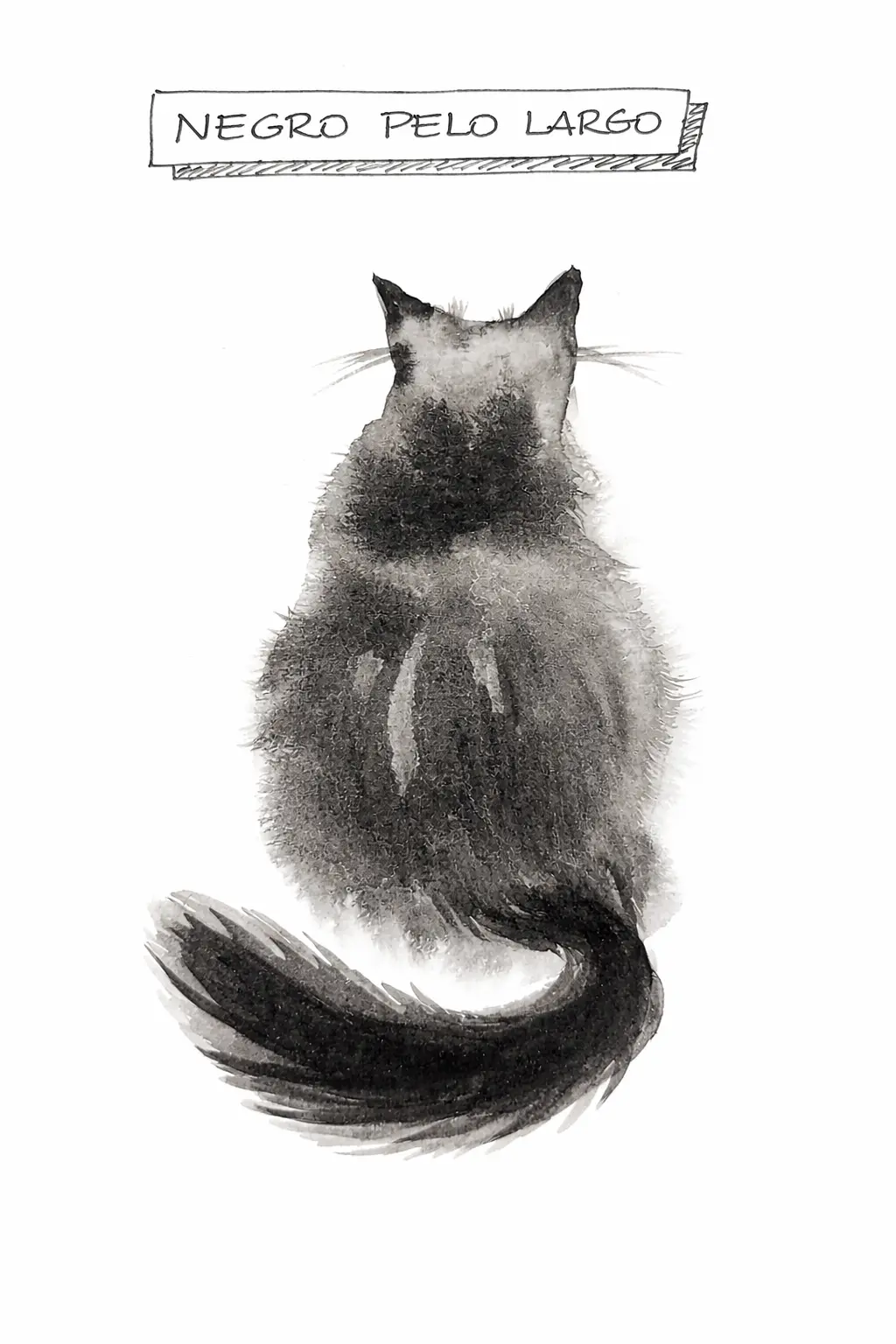 Gato negro