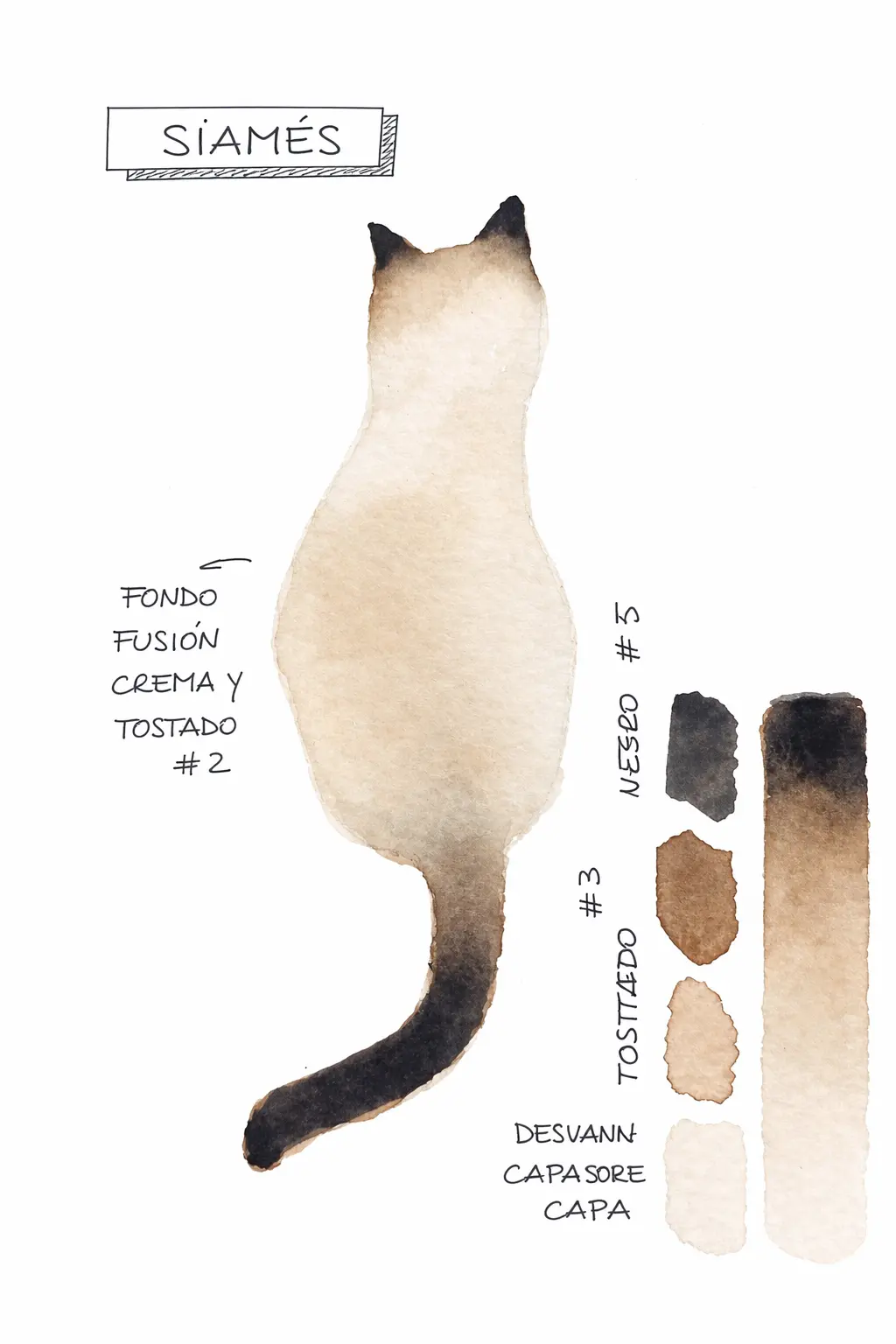 Gato siames